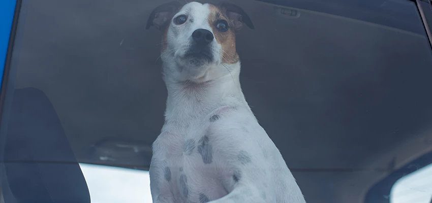 Car Lockout Solutions in Calabasas, California